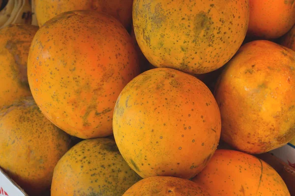 Papayas para la venta en el mercado de agricultores. Fondo agrícola. Primer plano. Vista superior —  Fotos de Stock