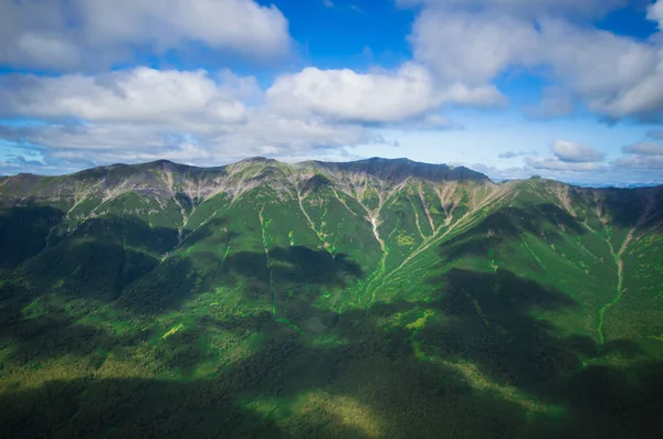 Kamchatka. Campos verdes y volcanes. Naturaleza salvaje — Foto de Stock