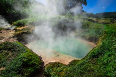 Geysers Vadisi, Kamçatka, Rusya Federasyonu. Yakın çekim. Üstten Görünüm