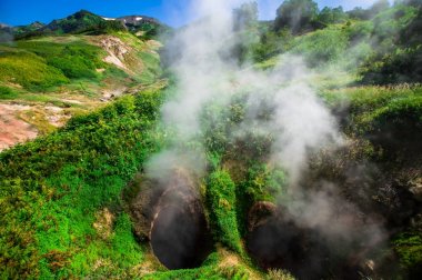 Geysers Vadisi, Kamçatka, Rusya Federasyonu. Yakın çekim. Üstten Görünüm