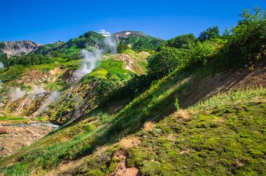 Geysers Vadisi, Kamçatka, Rusya Federasyonu. Yakın çekim. Üstten Görünüm