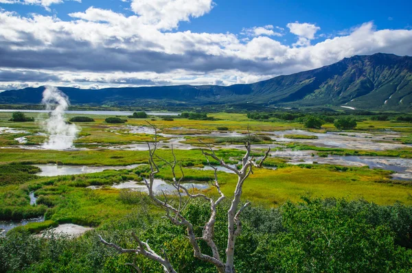 Acid lake in Uzon's volcano caldera. Kamchatka, Russia. — Stock Photo, Image