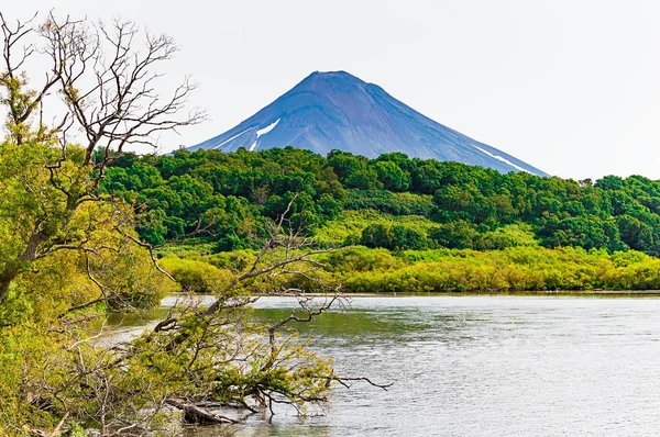 Lac Kurile. Kamchatka. La Russie. Champs verts et volcans. Nature sauvage — Photo