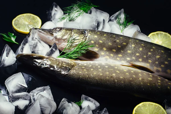 Pesce luccio fresco su ghiaccio su una vista superiore di tavolo nera. Sfondo rustico in legno. Vista dall'alto . — Foto Stock