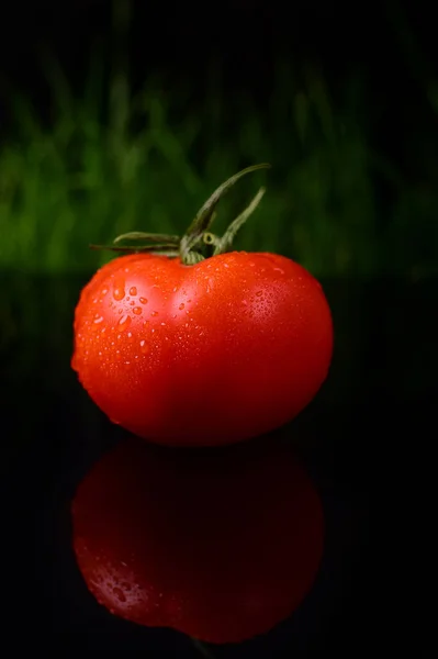 Pomodoro isolato su fondo nero e lucido con riflesso realistico e gocce d'acqua — Foto Stock