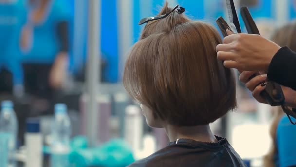 Female model getting hair straightened by hairdresser closeup on the backstage of fashion week — Stock Video