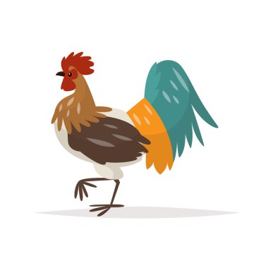 Beyaz bir arka plan üzerinde horoz. Yeni yıl 2017 sembolü. Vect