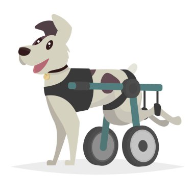 Köpek arka paws için tekerlekli sandalyede. Vektör çizimde bir 