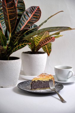 Haşhaş tohumlu pastadan tatlı üzerine krema serpiştirilmiş şeker ve bir küp