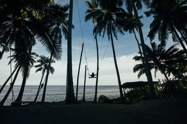 ビーチに椰子の木をシルエット — ストック写真