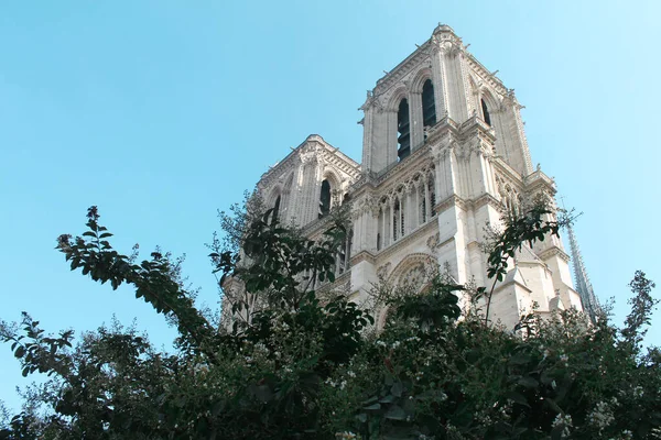 Notre Dame Paris Średniowieczna Katolicka Katedra Cit Czwartej Dzielnicy Paryża — Zdjęcie stockowe