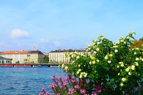 Geneva Szwajcaria Wrzesień 2015 Zobacz Kwiaty Jezioro Genewa Wrzesień — Zdjęcie stockowe