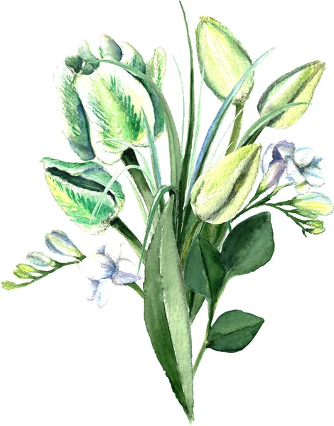 Kytice bílých tulipánů akvarel ručně kreslenou — Stock fotografie