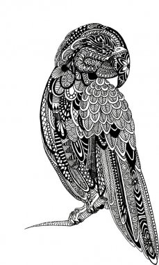 Zentagle papağan mürekkep illüstrasyon