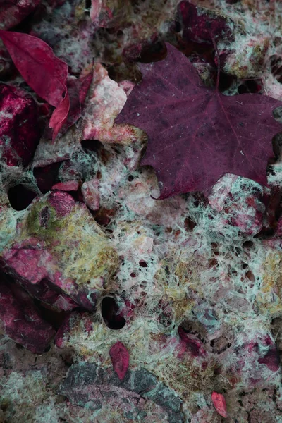 Middleburgh, New York