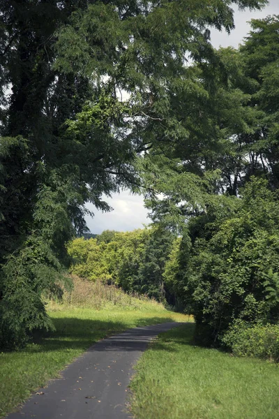 Middleburgh, Nova Iorque — Fotografia de Stock