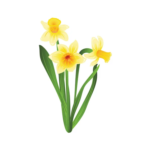 Buquê de três flores narcisos amarelos com folhas verdes. Ilustração vetorial — Vetor de Stock