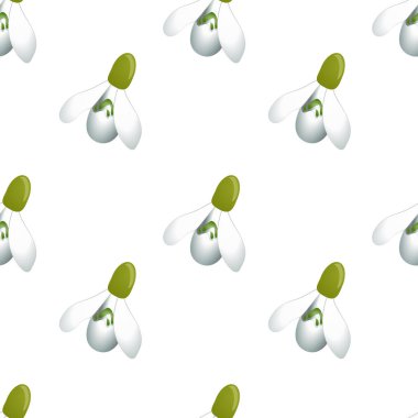 Dikişsiz desen birçok kardelen ile aynı boyutlarda çiçekler. Beyaz arka plan. Vektör çizim