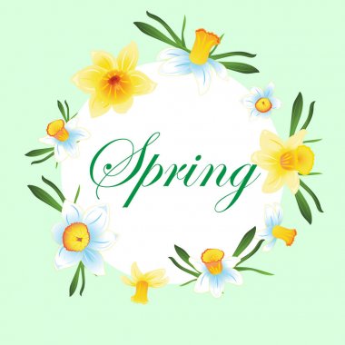 Taze bahar yeşil yaprakları ile sarı ve mavi nergis ile arka plan. Vektör çizim