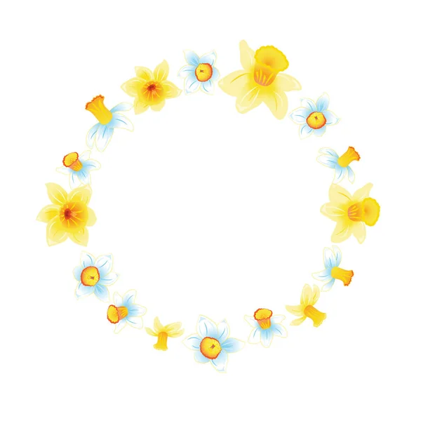 Friss tavaszi háttér kis kék és a sárga nárcisz. Fehér háttér. Vektoros illusztráció — Stock Vector