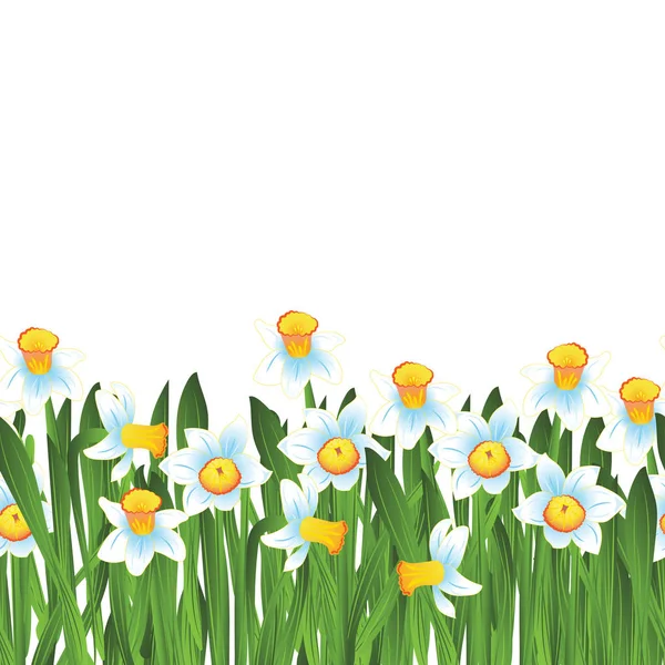 Grama verde com flores narcisos azuis isoladas em branco. Ilustração vetorial —  Vetores de Stock