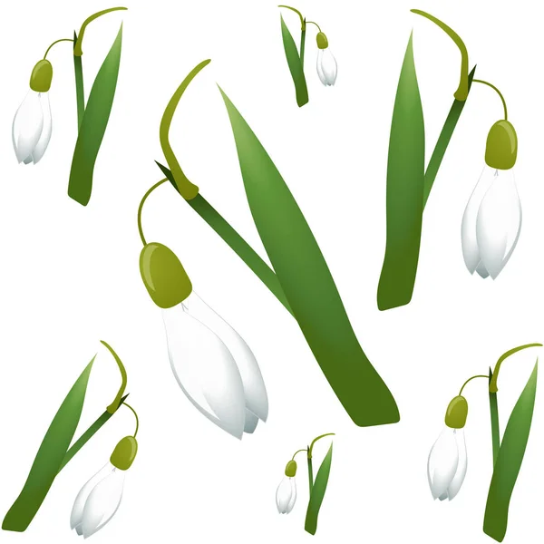 Wzór sam przebiśnieg kwiaty z zielony łodyg i pozostawia różnej wielkości. Białe tło. Ilustracja wektorowa — Wektor stockowy