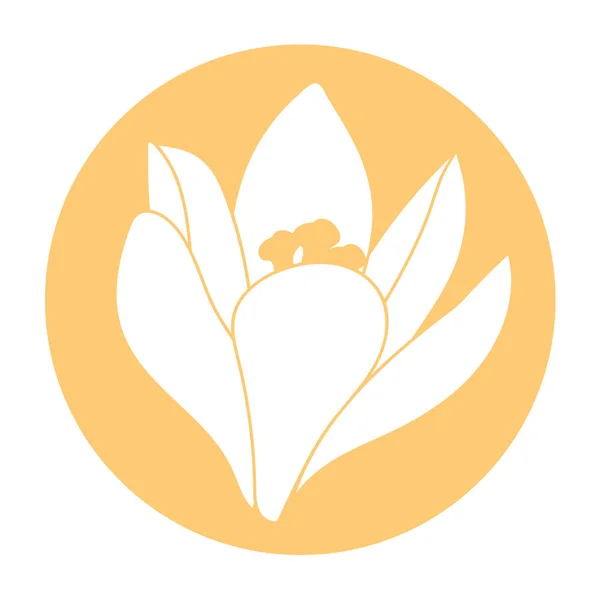 Icona del fiore primaverile. Fiore di croco bianco. Croco, zafferano, erbe. Arancione cerchio rotondo icona piatta. Illustrazione vettoriale Grafiche Vettoriali