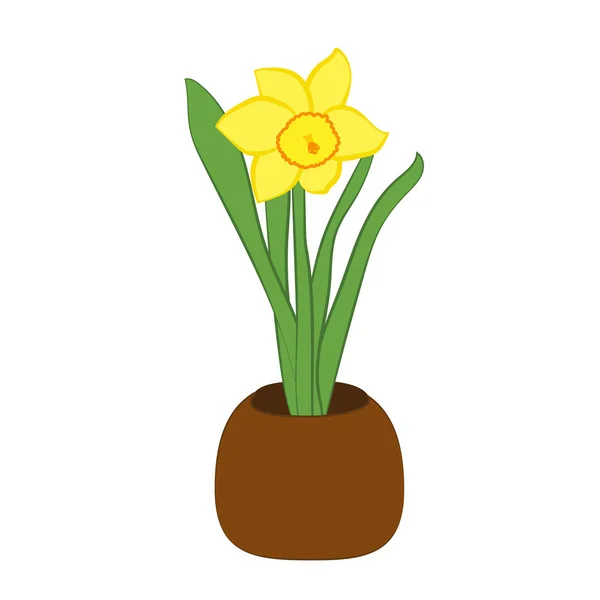 Желтый нарцисс цветок в горшке. Плоская иллюстрация выделена на белом фоне. Векторная иллюстрация Лицензионные Стоковые Векторы
