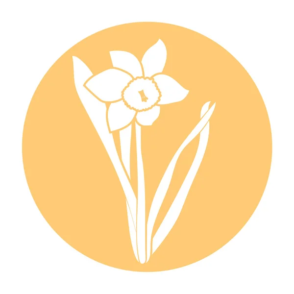 Εικονίδιο λουλουδιών άνοιξη. Λευκό Νάρκισσου σε επίπεδη σχεδίαση. Πορτοκαλί κύκλος γύρος επίπεδη εικόνα. Εικονογράφηση διάνυσμα — Διανυσματικό Αρχείο