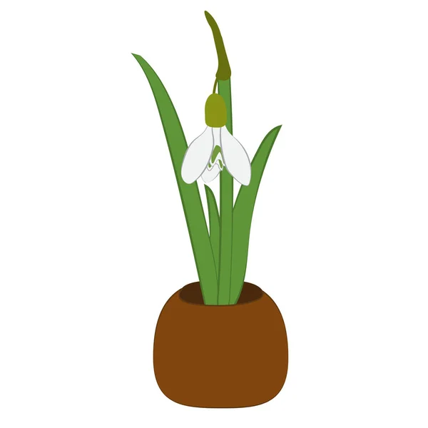 植木鉢白で隔離の春スノー ドロップ。ベクトル図 — ストックベクタ