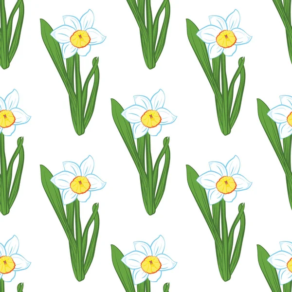 Seamless pattern. Green grass with blue narcissus flowers same sizes isolated on white. Vector illustration — Stock Vector
