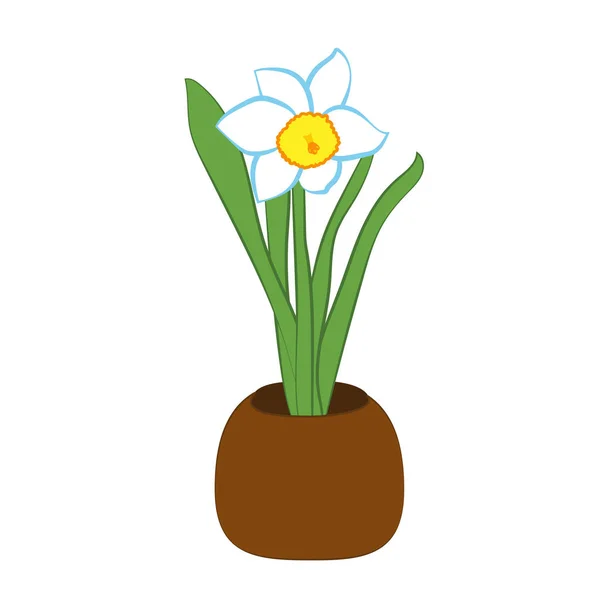 Narciso flor en una olla. Ilustración plana aislada sobre fondo blanco. Ilustración vectorial Vector De Stock