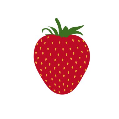Güzel kırmızı çilek vektör çizim. Çilek meyve izole. Beyaz arka plan
