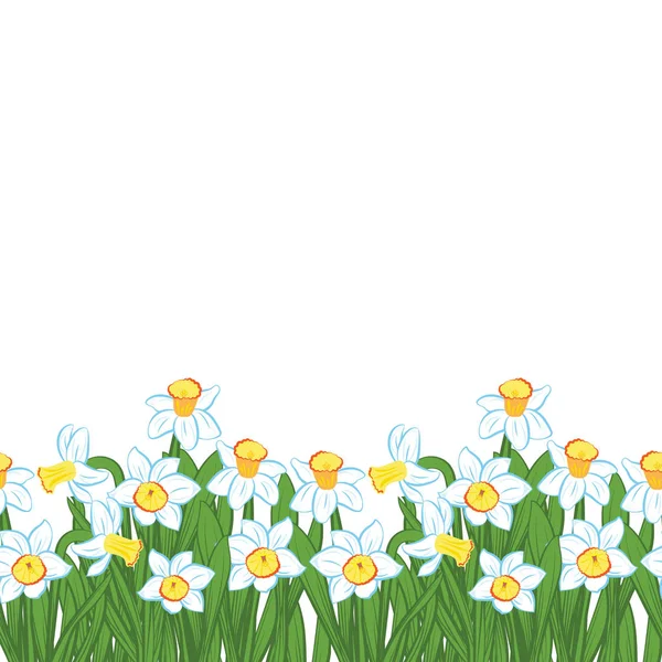 Postkarte von grünem Gras mit kleinen blauen Narzissenblüten isoliert auf weiß. Vektorillustration — Stockvektor