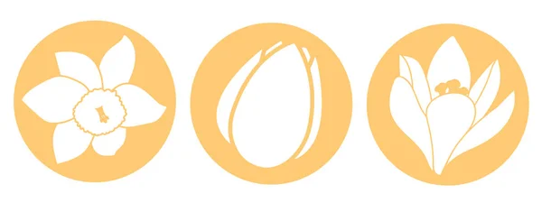 Icona del fiore primaverile. Narciso bianco, tulipano e fiori di cocco. Icone rotonde arancio circolari piatte. Illustrazione vettoriale Illustrazioni Stock Royalty Free
