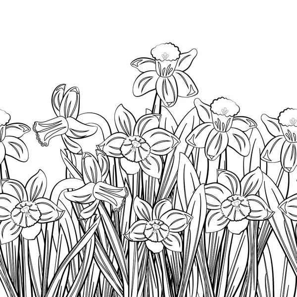 Cartolina di narciso bianco con silhouette di fiori a ictus nero isolata su bianco. Illustrazione vettoriale Vettoriale Stock