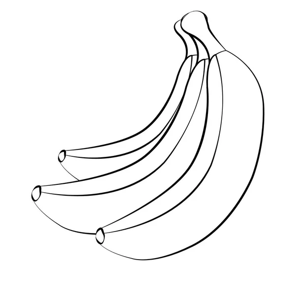 Vektor banán. Csokrok fehér banán gyümölcsök fekete körvonal elszigetelt fehér background — Stock Vector