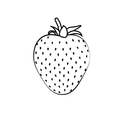 Güzel siyah çilek siluet siyah kontur ile. Vektör. Beyaz arka plan