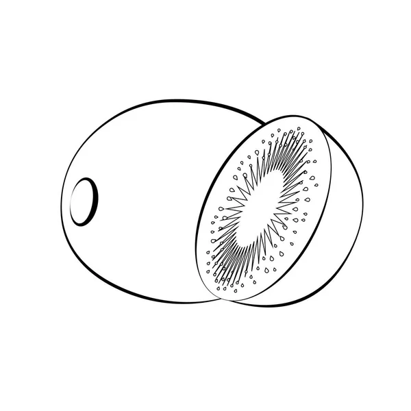 Flache Ikone Kiwi und Scheibe Kiwi. weiß mit schwarzem Strich. Kiwi-Silhouette. Vektor — Stockvektor
