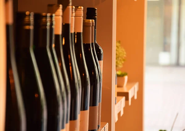 ワインショップの木の棚にワインボトル — ストック写真