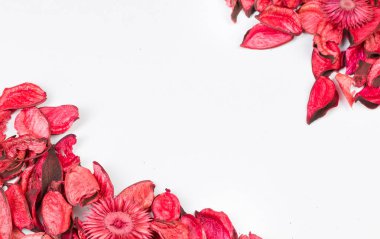 Gül yaprakları üzerinde beyaz arka plan izole. Sevgililer günü pembe çiçekler köşesi için şablon seviyorum. Hiçbir şey Merkezi saf boş mockup içinde.