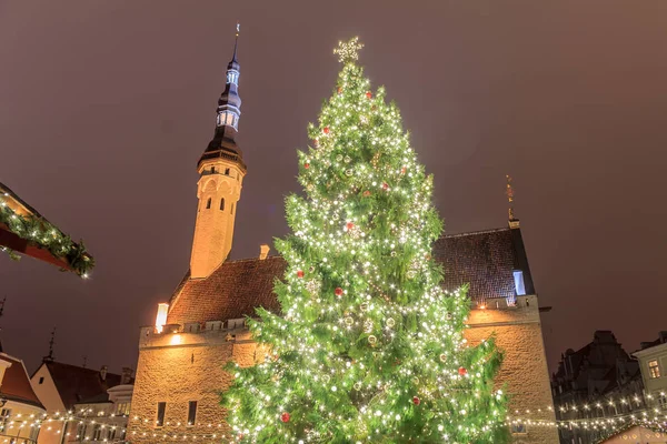 Plac Ratuszowy, Tallin, Estonia pierwszy choinki w Tallinn Town Hall Square został wzniesiony w 1441. To był pierwszy choinki, kiedykolwiek umieścić na wystawie w Europie. Dobę, wieczorem zdjęcie z — Zdjęcie stockowe