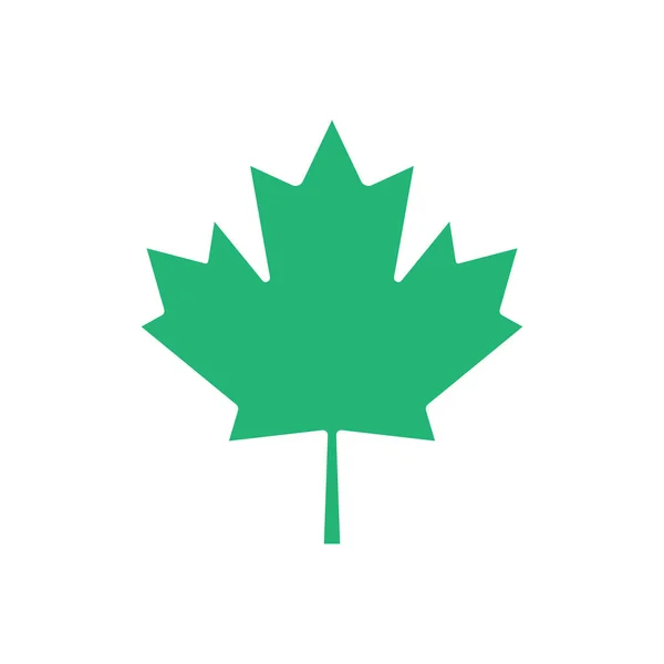 Yeşil akçaağaç yaprağı vektör simgesi. Akçaağaç yaprağı küçük resim. — Stok Vektör