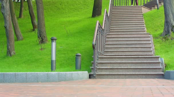 Asiatique fille courir dans les escaliers au parc. Modèle de fitness courant en bas — Video