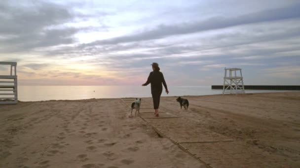Женщина выгуливает собаку на пляже на рассвете. Две собаки на прогулке по пляжу — стоковое видео