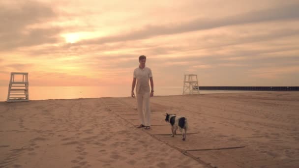 Женщина выгуливает собаку на пляже на закате. Две собаки на прогулке по пляжу — стоковое видео