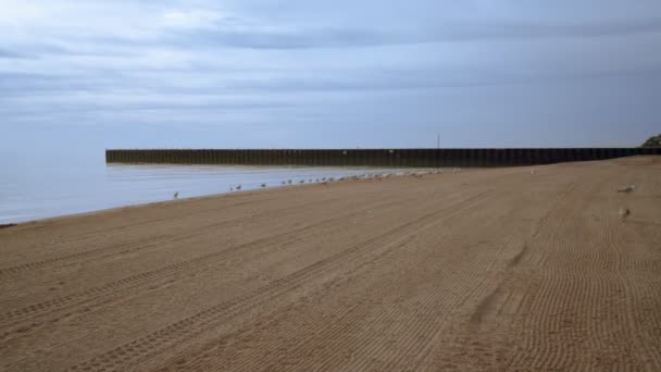 Plage de la mer avec goélands et jetée. Mer fond de plage. Mouettes sur la plage 