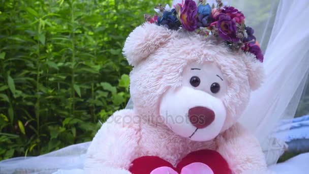 Bear teddy op witte stof in het park. Close-up van teddybeer op gras achtergrond — Stockvideo