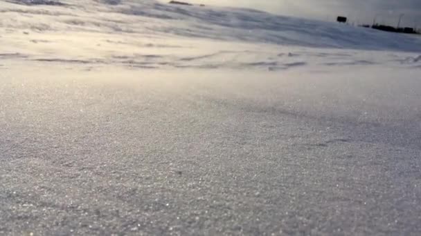 Drifting snow close-up. De wind van de sneeuw op de achtergrond van de winter. Sneeuwstorm — Stockvideo