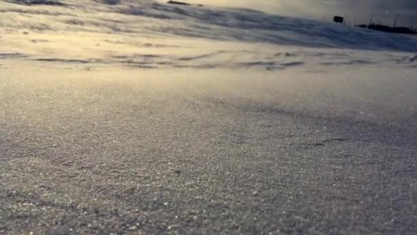 La neve va alla deriva da vicino. cumulo di neve su sfondo invernale. Paesaggio invernale — Video Stock